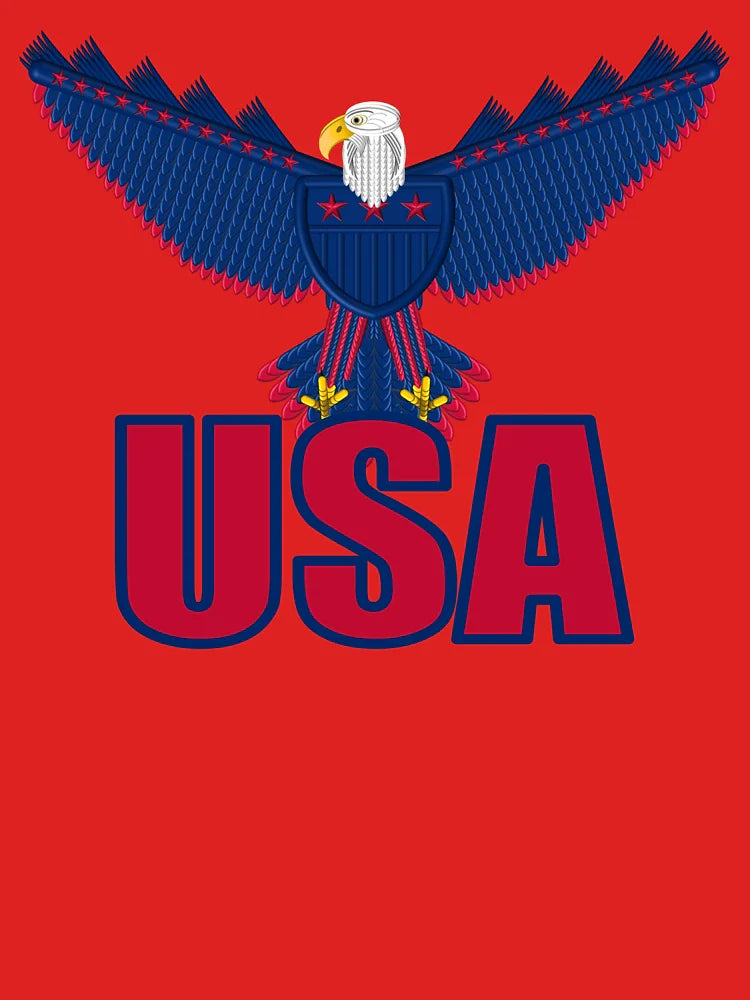 00060-10100-American Eagle-USA Classic T-Shirt