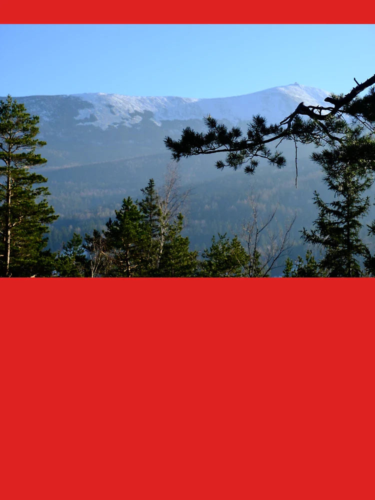 Snowy Peaks and Pine Trees - Mountains, Poland Classic T-Shirt