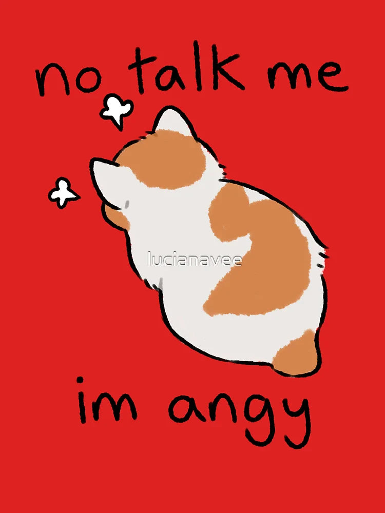 no talk me Classic T-Shirt