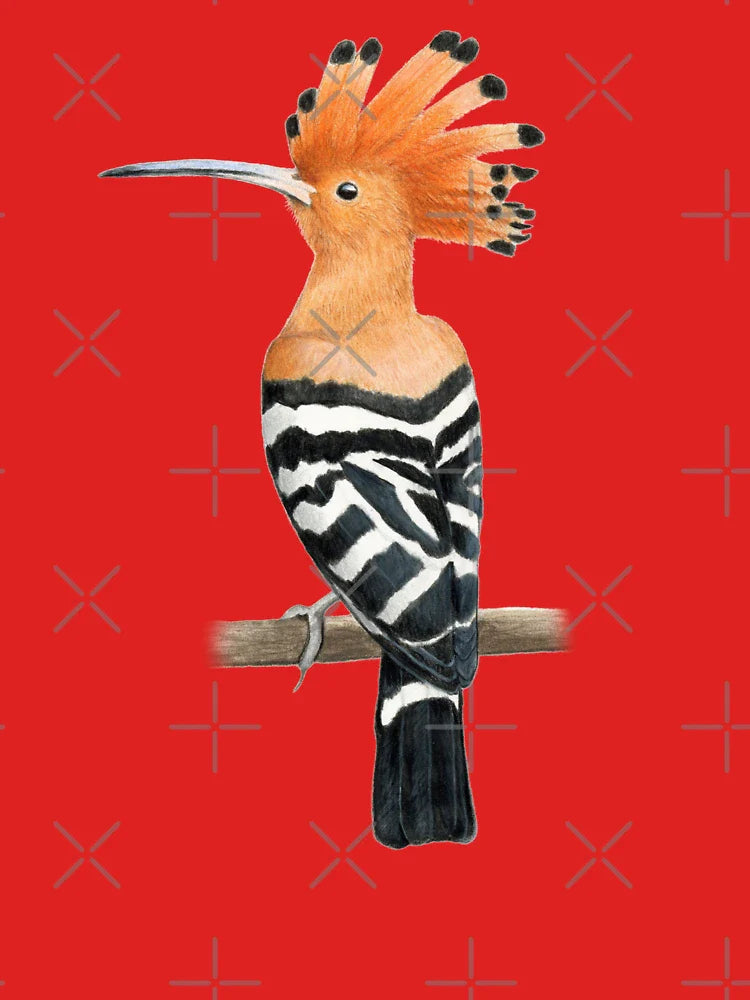 Hoopoe Classic T-Shirt