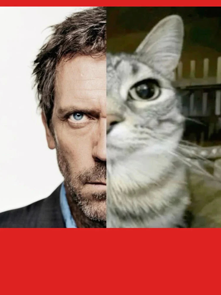 House MD Cat Meme Classic T-Shirt