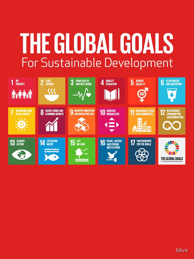 The Global Goals 17 Global Goals Icons Grid Classic T-Shirt