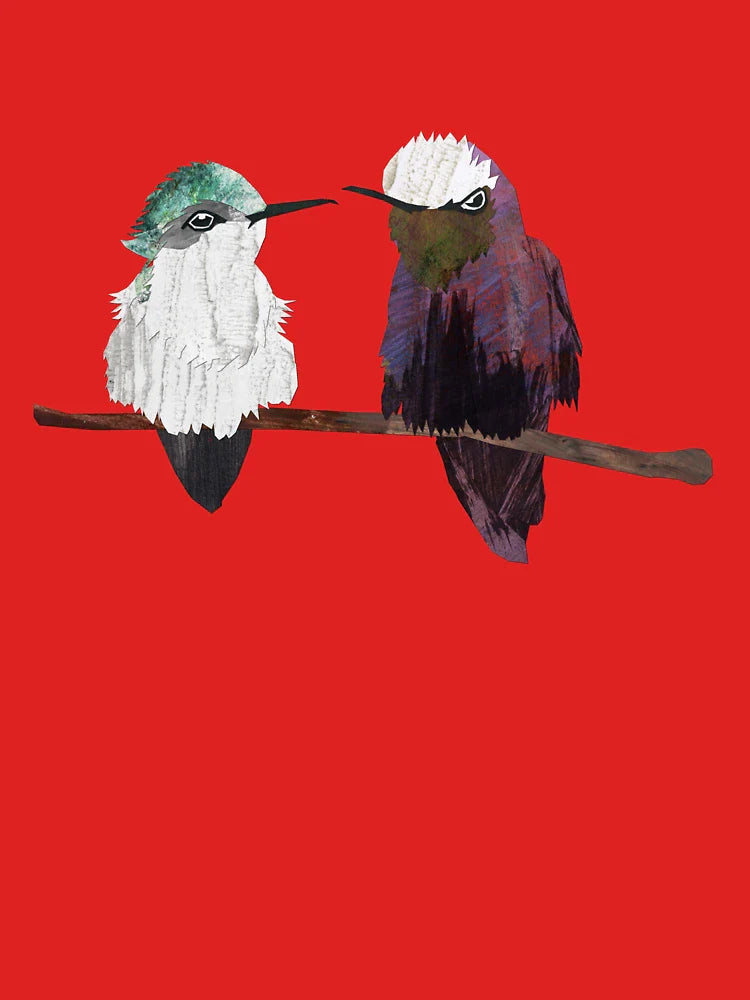 A pair of Snow Cap Hummingbirds Classic T-Shirt
