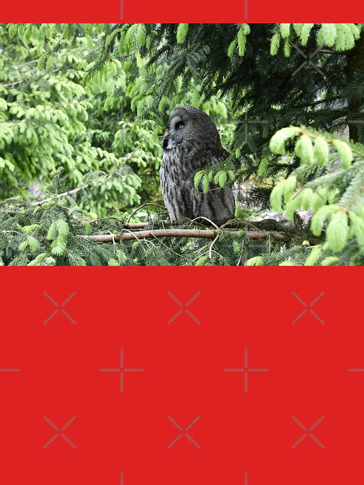 Great Grey Owl 2 / Swiss Artwork Photography Classic T-Shirt