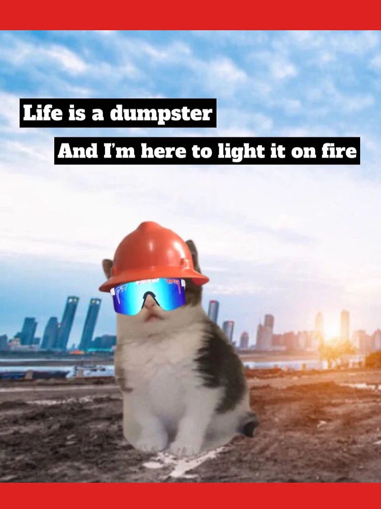 Beans Dumpster Fire  Classic T-Shirt