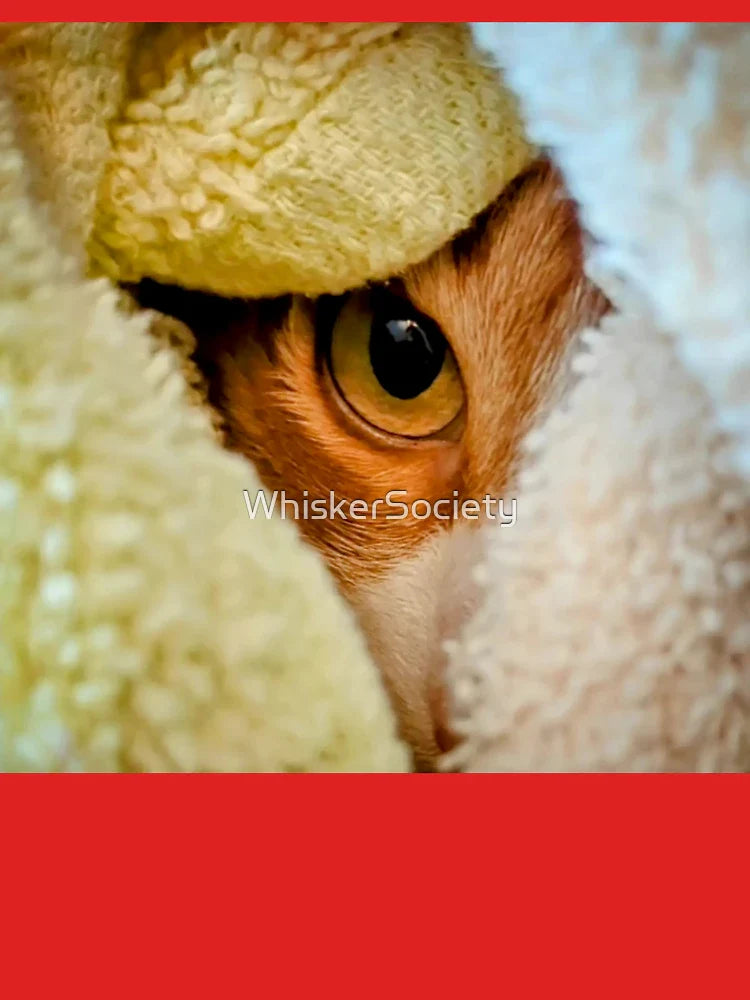 Blanket Surveillance â€“ Cat Photography by J Packer Samms Classic T-Shirt
