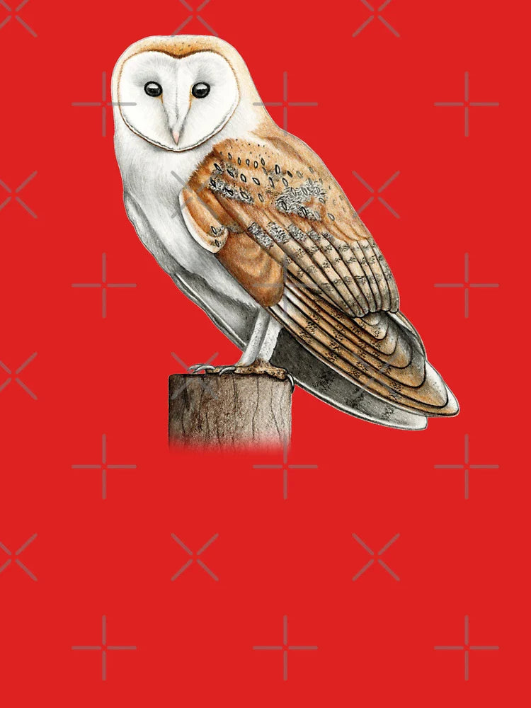 Barn Owl Classic T-Shirt