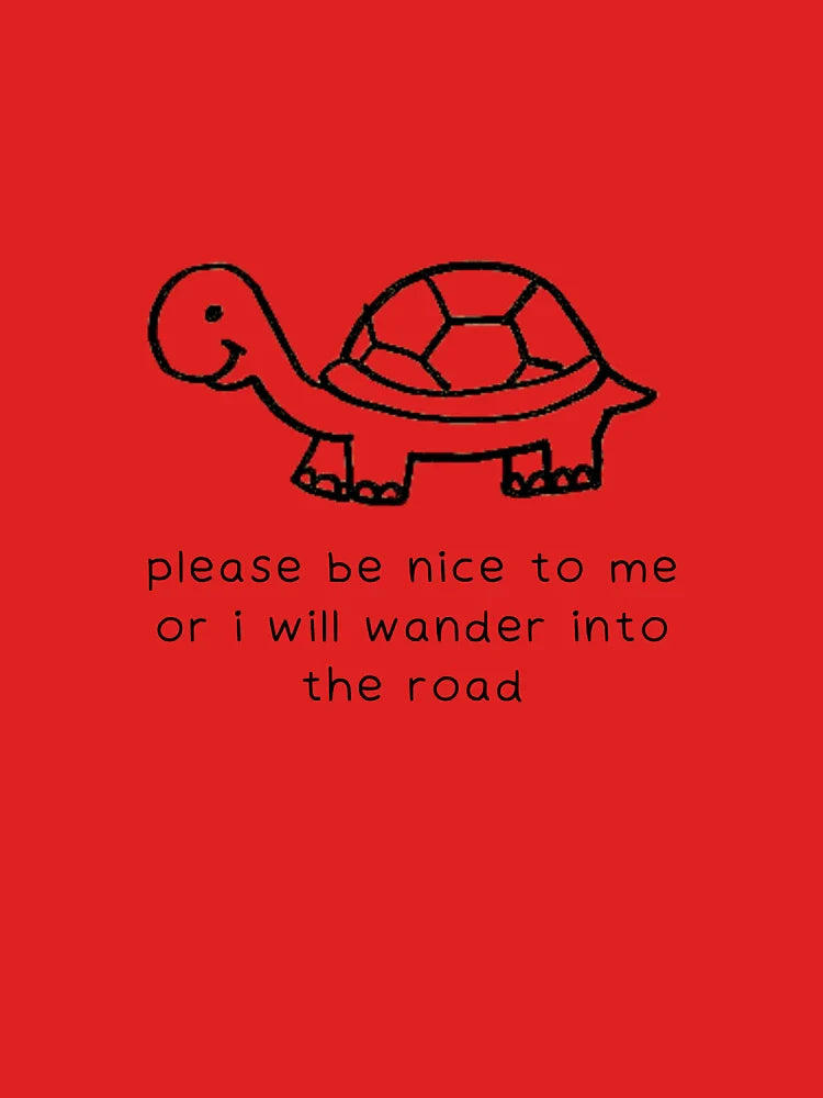 be nice turtle Classic T-Shirt