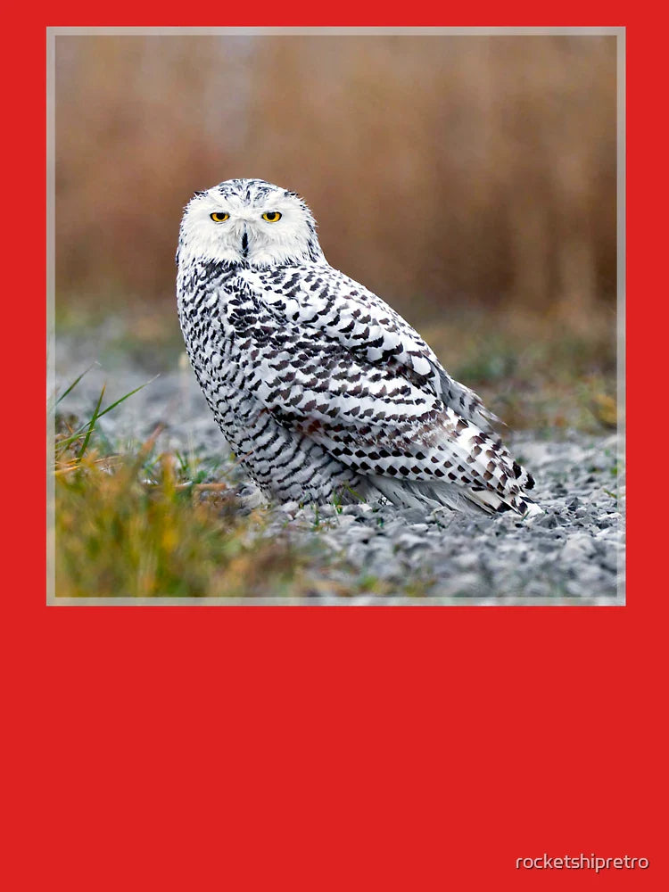 Snowy Owl Michigan Classic T-Shirt
