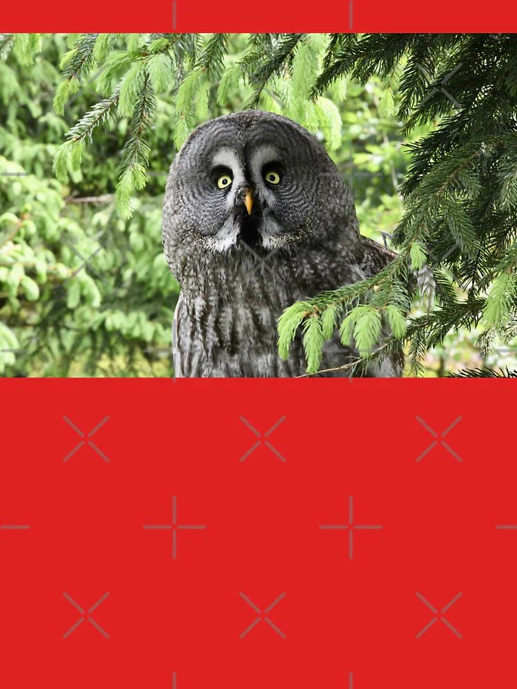 Great Grey Owl 6 / Swiss Artwork Photography Classic T-Shirt