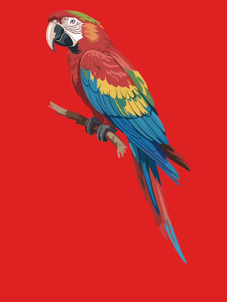 Exotic Macaw Tropical Bird Tee Colorful Parrot Summer Animal Classic T-Shirt