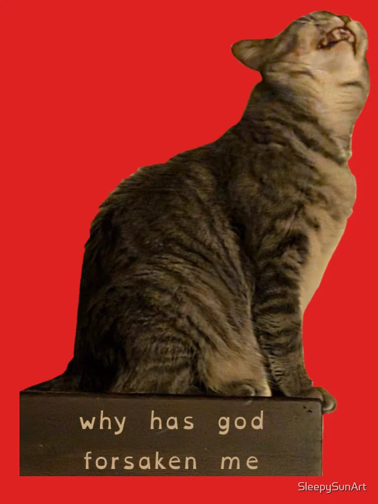 why has god forsaken me cat meme Classic T-Shirt