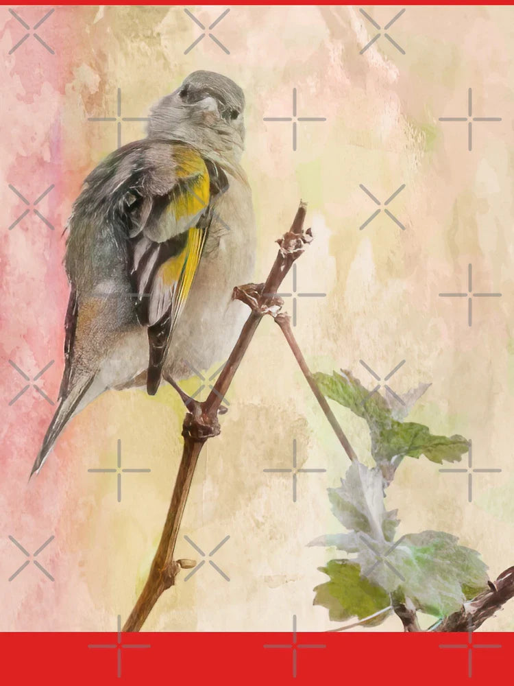 Female Lawrence's Goldfinch Classic T-Shirt