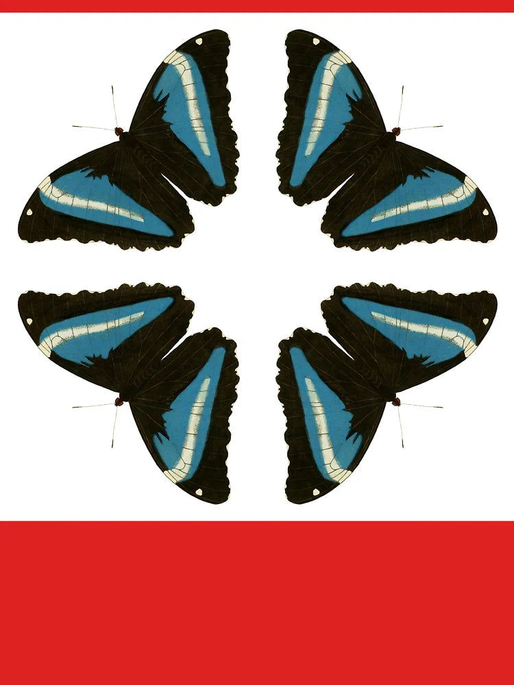 Peacock Swallowtails Classic T-Shirt