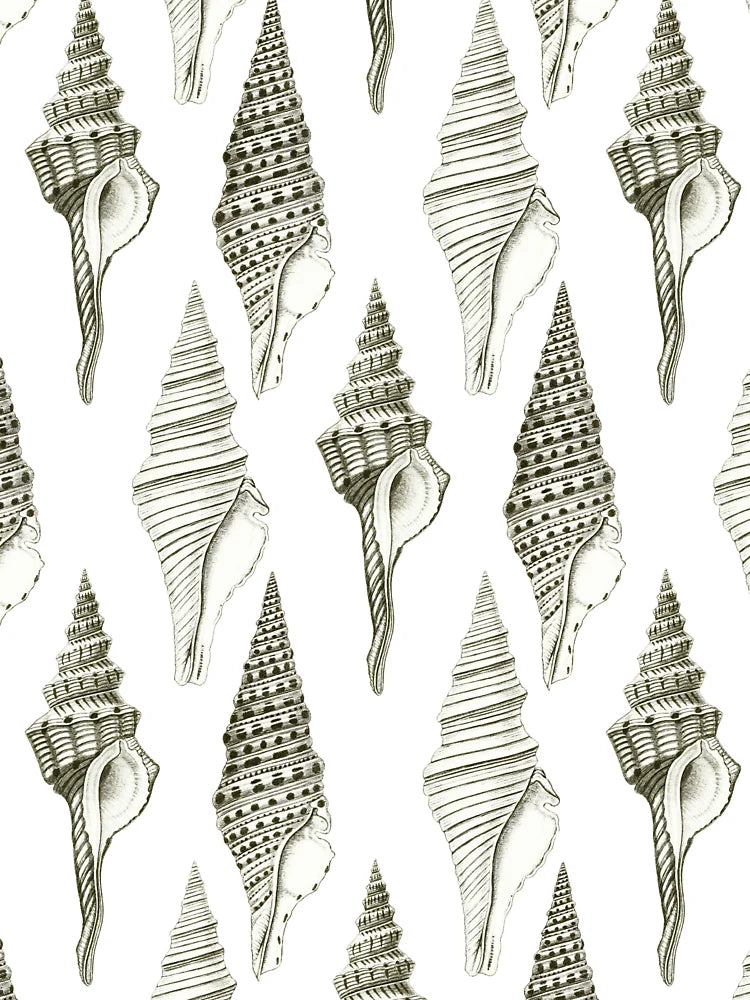 Black and White Seashell Line Drawings Pattern Classic T-Shirt