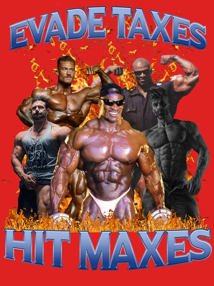 Evade Taxes Hit Maxes 2 Classic T-Shirt