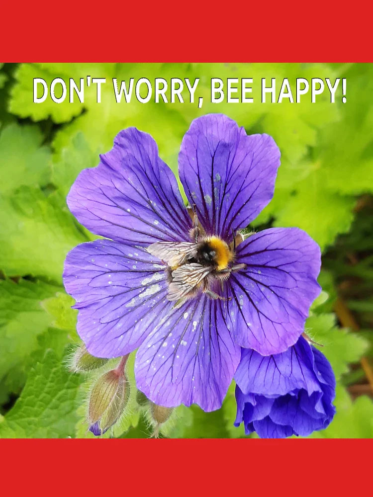 Don't Worry, Bee Happy! Classic T-Shirt