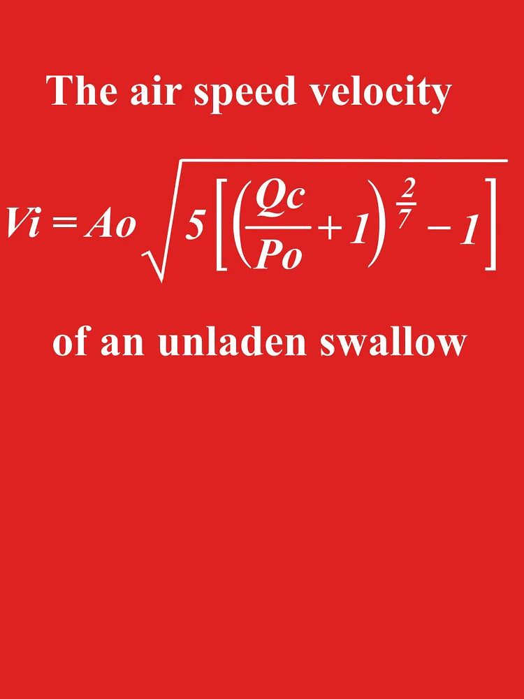 The Airspeed Velocity of an Unladen Swallow Classic T-Shirt