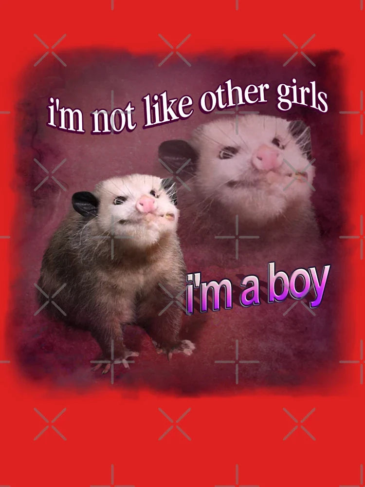 I'm not like other girls, I'm a boy possum word art Classic T-Shirt