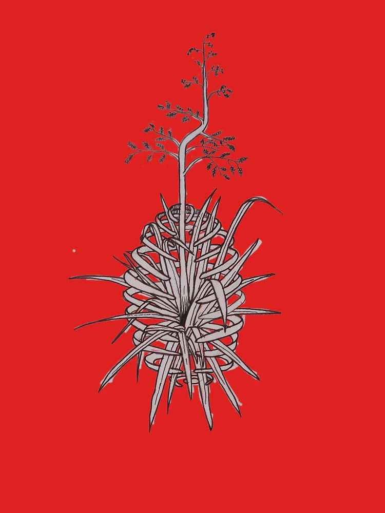 Flowering agave in a cage Classic T-Shirt