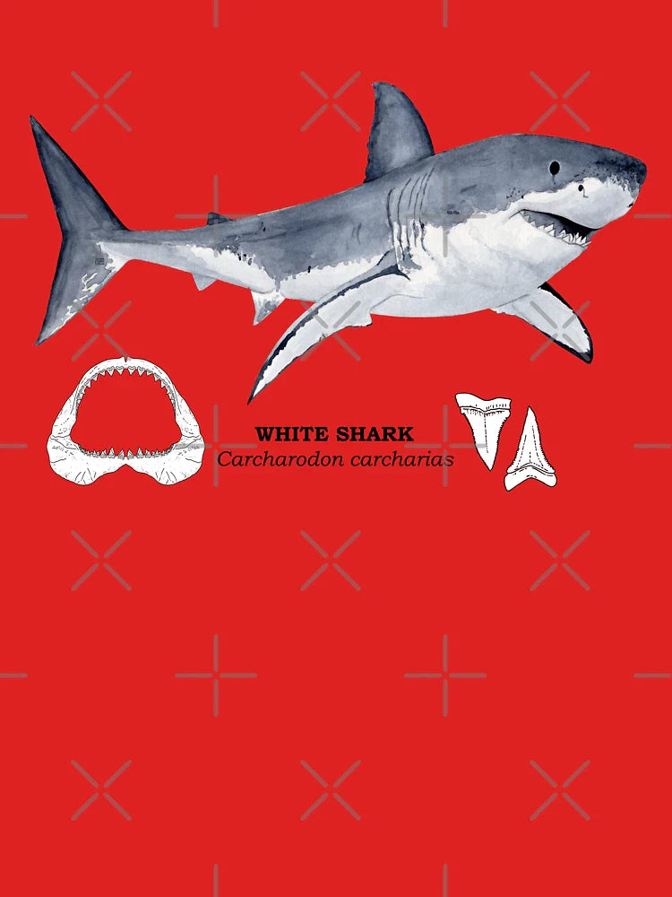 GREAT WHITE SHARK-name, jaws and teeth Classic T-Shirt