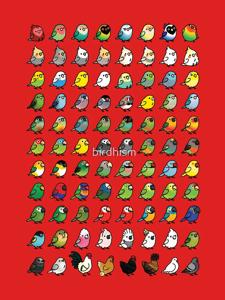 Everybirdy Collection Classic T-Shirt