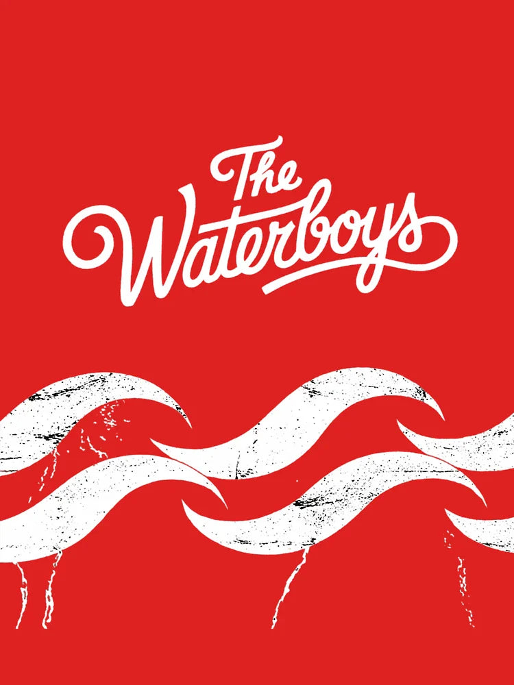 The Waterboyss Band Classic T-Shirt