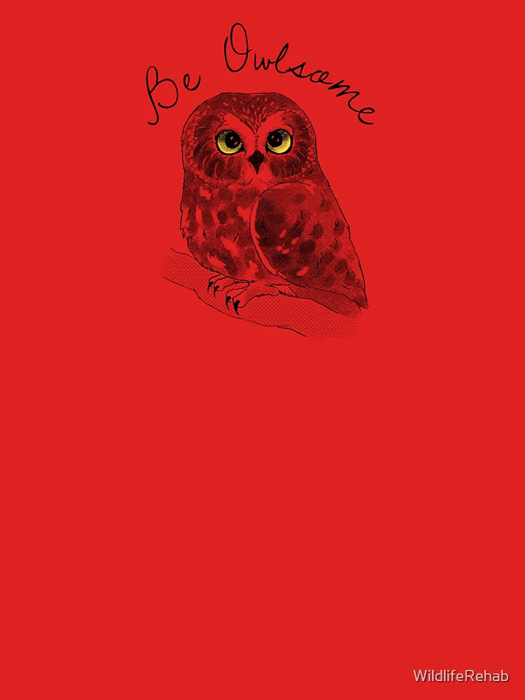 Be Owlsome Classic T-Shirt