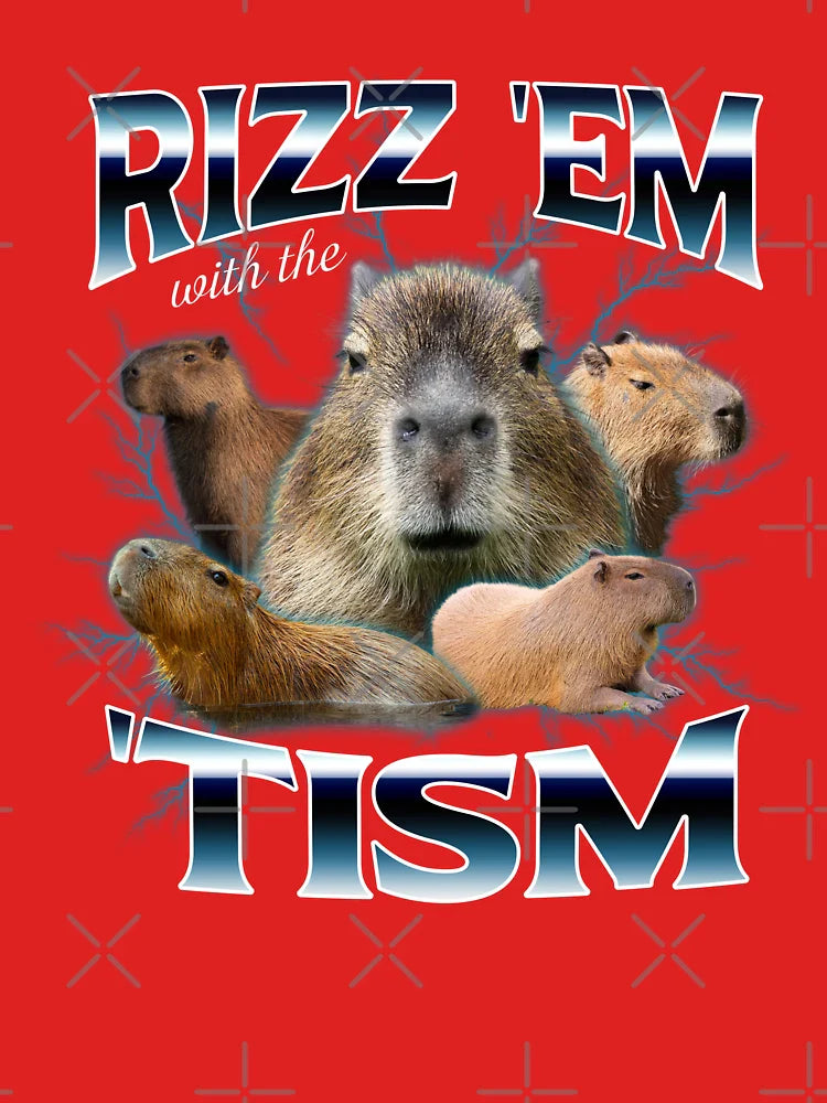 Rizz Em With The Tism Raccoon Funny Raccoon  Autism Awareness Classic T-Shirt