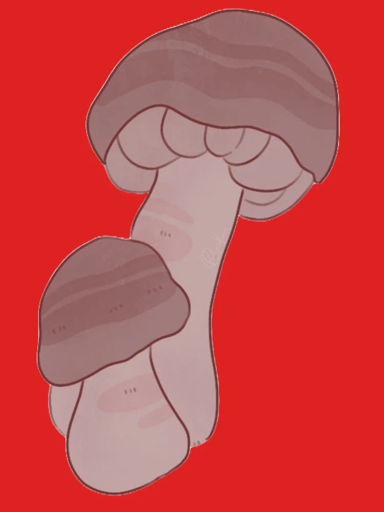 mushroom (5) Classic T-Shirt