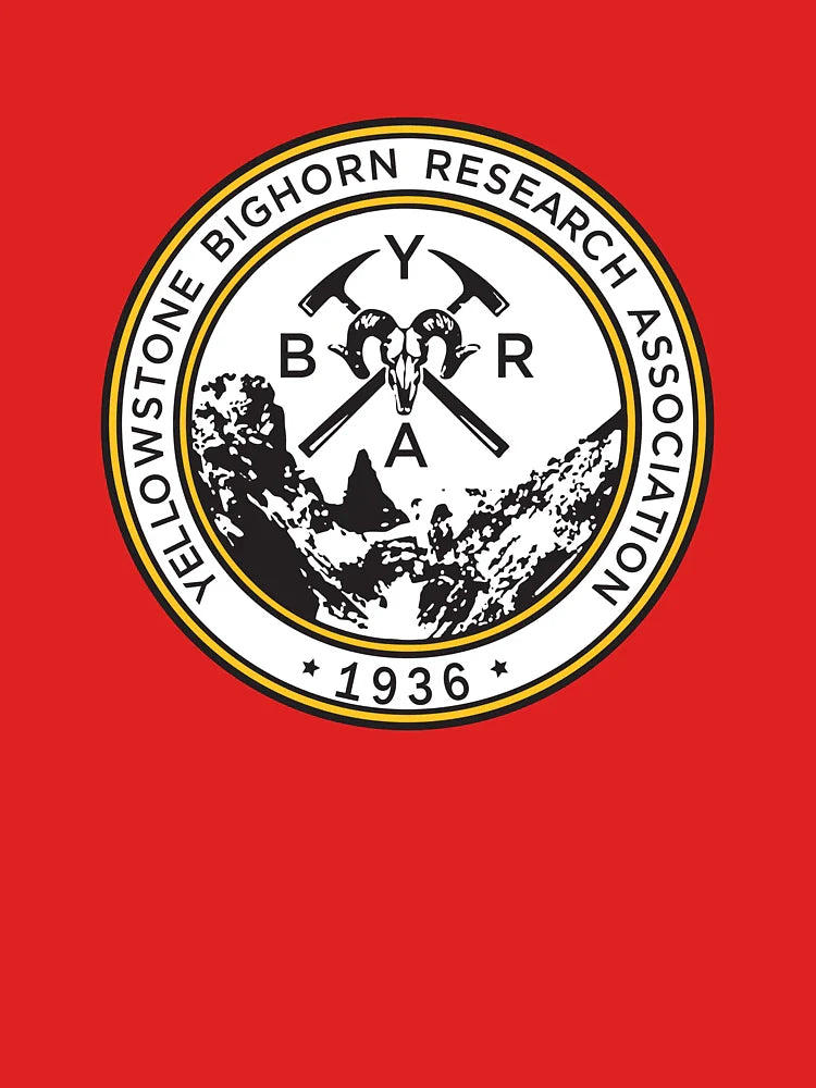 YBRA Logo Classic T-Shirt