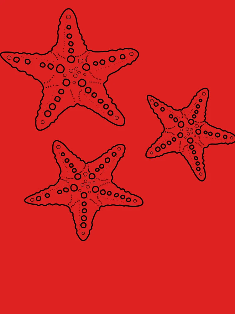 starfish bunch black/sand Classic T-Shirt