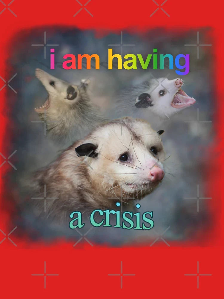 I am having a crisis possum word art Classic T-Shirt