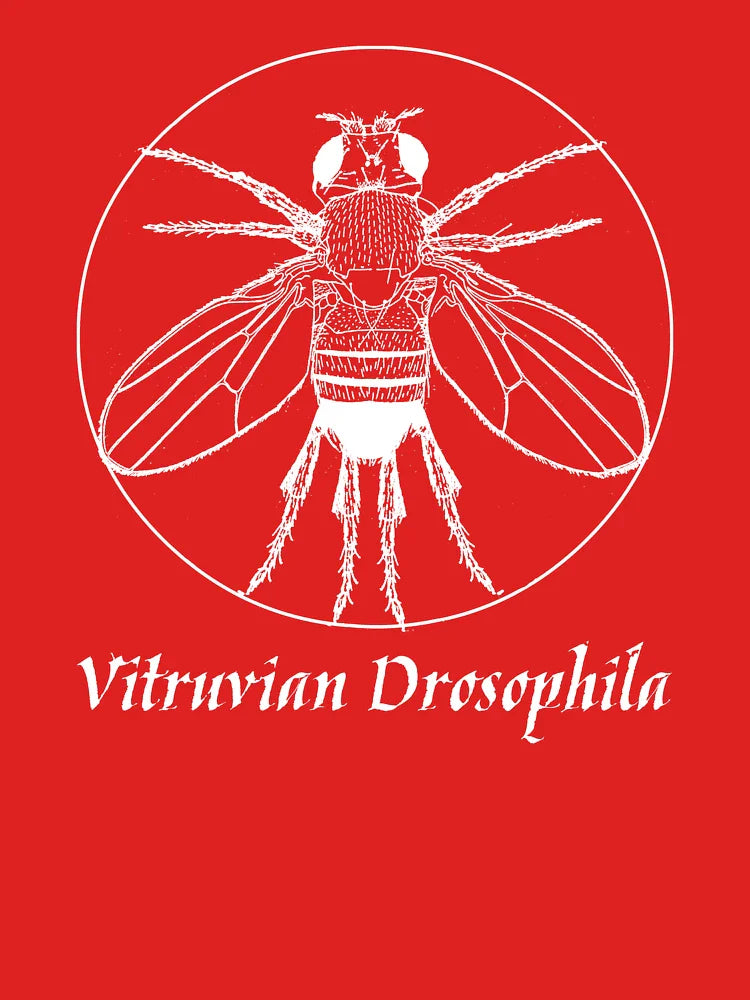 Vitruvian Drosophila Classic T-Shirt