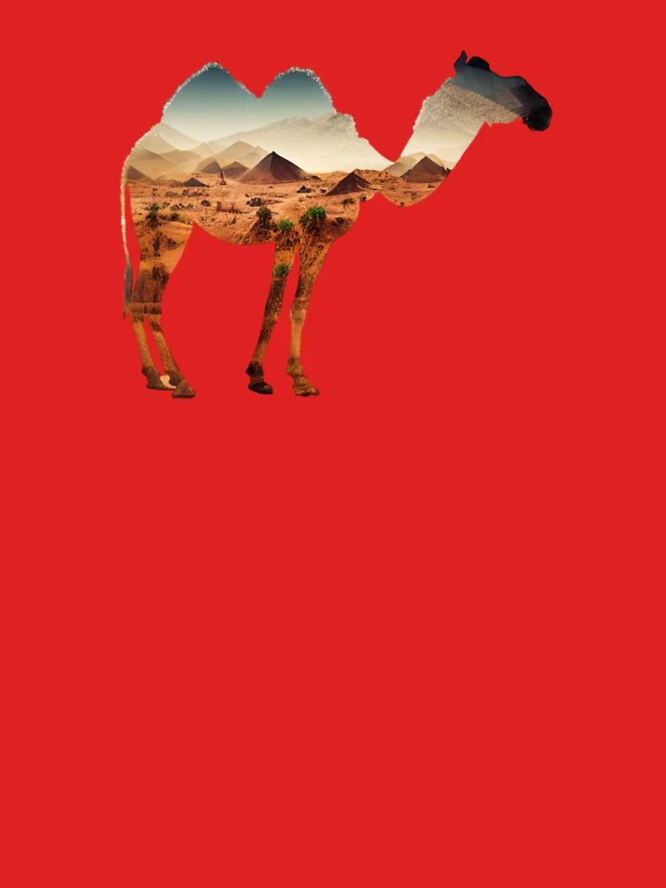 Camel in Desert: Double Exposure Art Classic T-Shirt