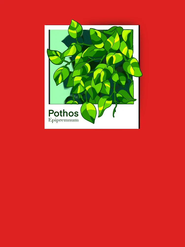Pothos Epipremnum Plant vine Classic T-Shirt