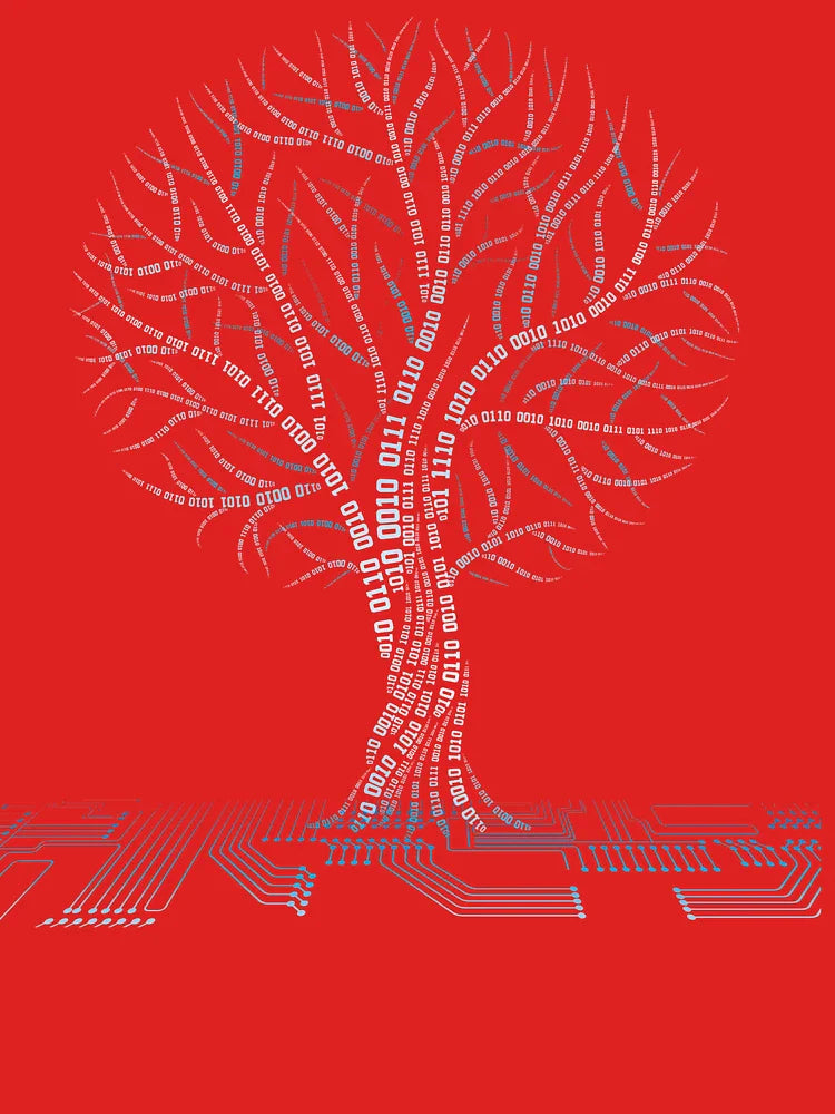 Cool Binary Tree Coding Computer Science T Shirts Gifts for Women Men Classic T-Shirt