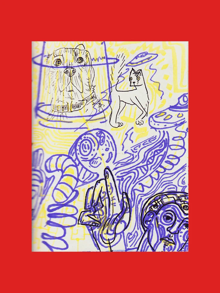 Abduction, Raining Cats and Dogs Classic T-Shirt