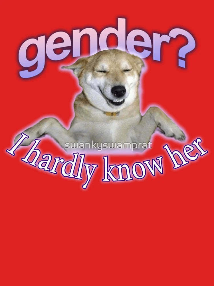 Gender I Hardly Know Her Meme Classic T-Shirt