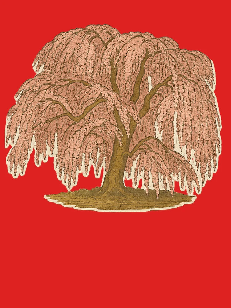 Weeping Cherry Blossom Tree | Retro Sakura Elegance - Japanese Spring Beauty Classic T-Shirt