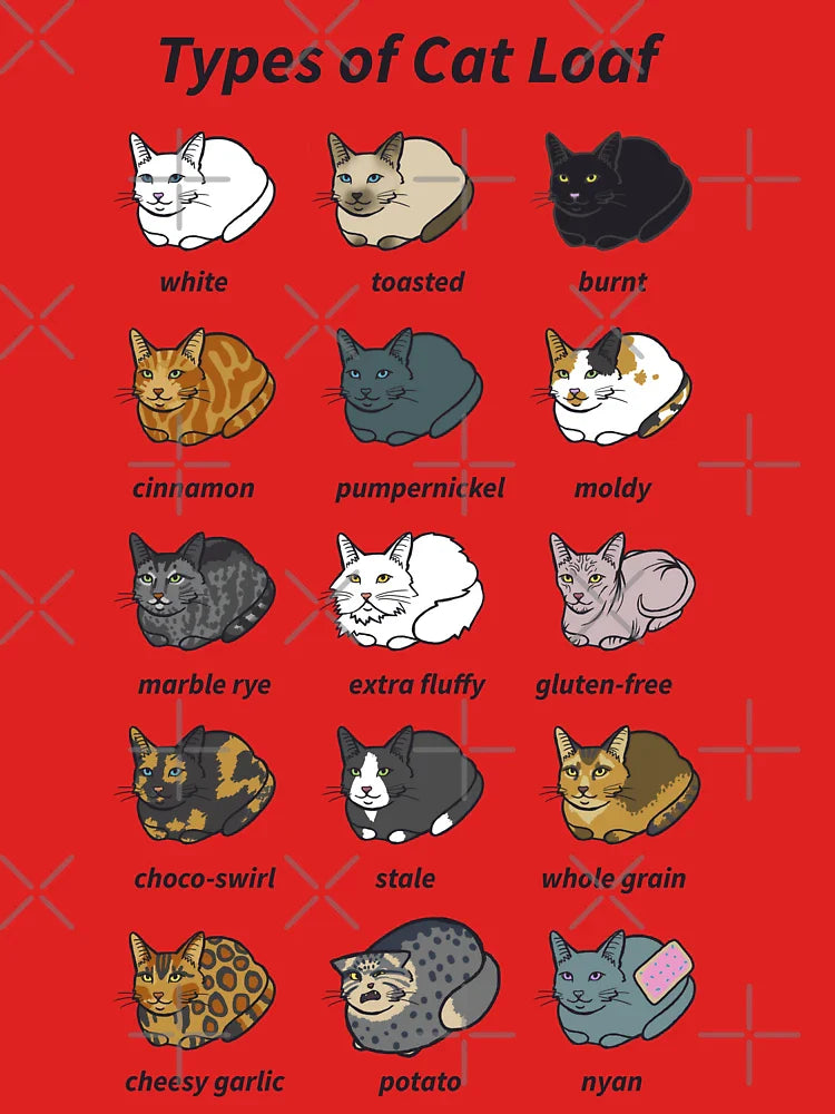 The Types of Cat Loaf Classic T-Shirt