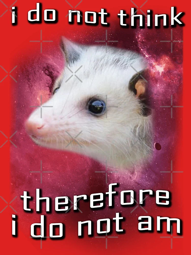 I do not think, therefore i do not am possum Classic T-Shirt