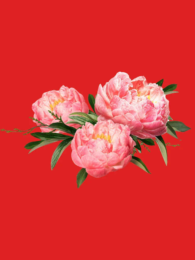 Pretty Pink Peony Classic T-Shirt