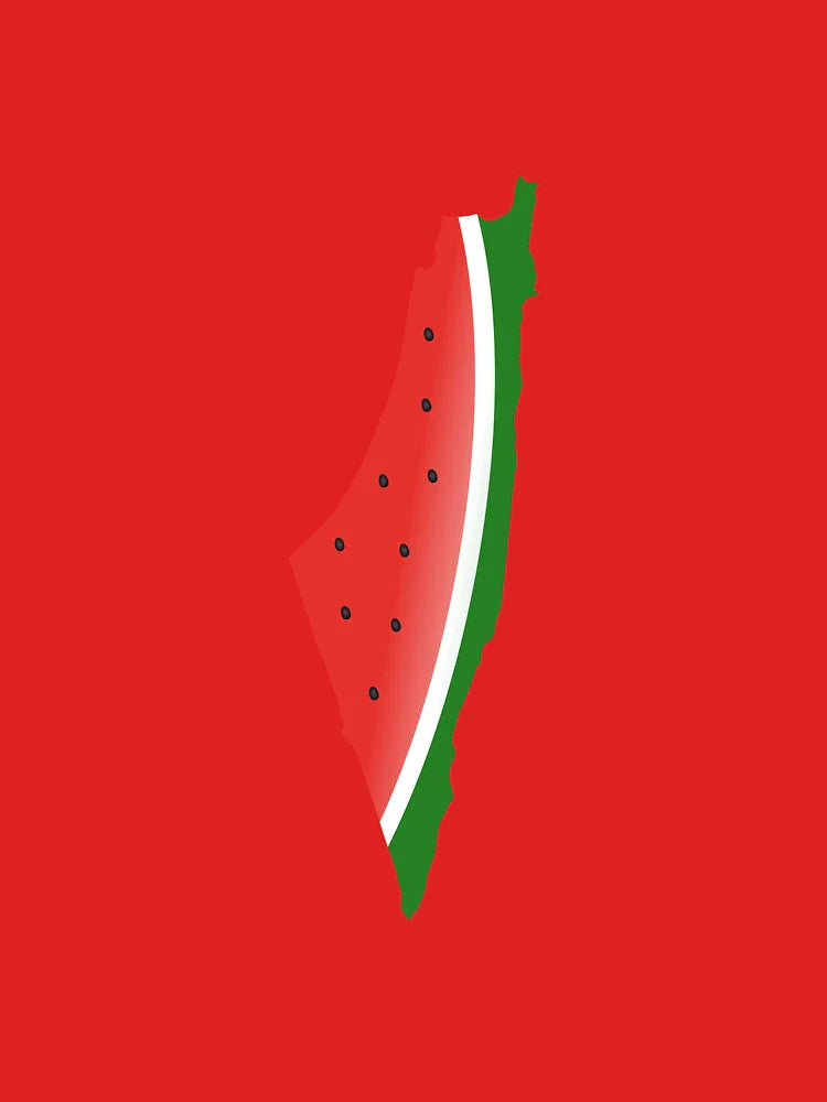 Watermelon Palestine - Light Classic T-Shirt
