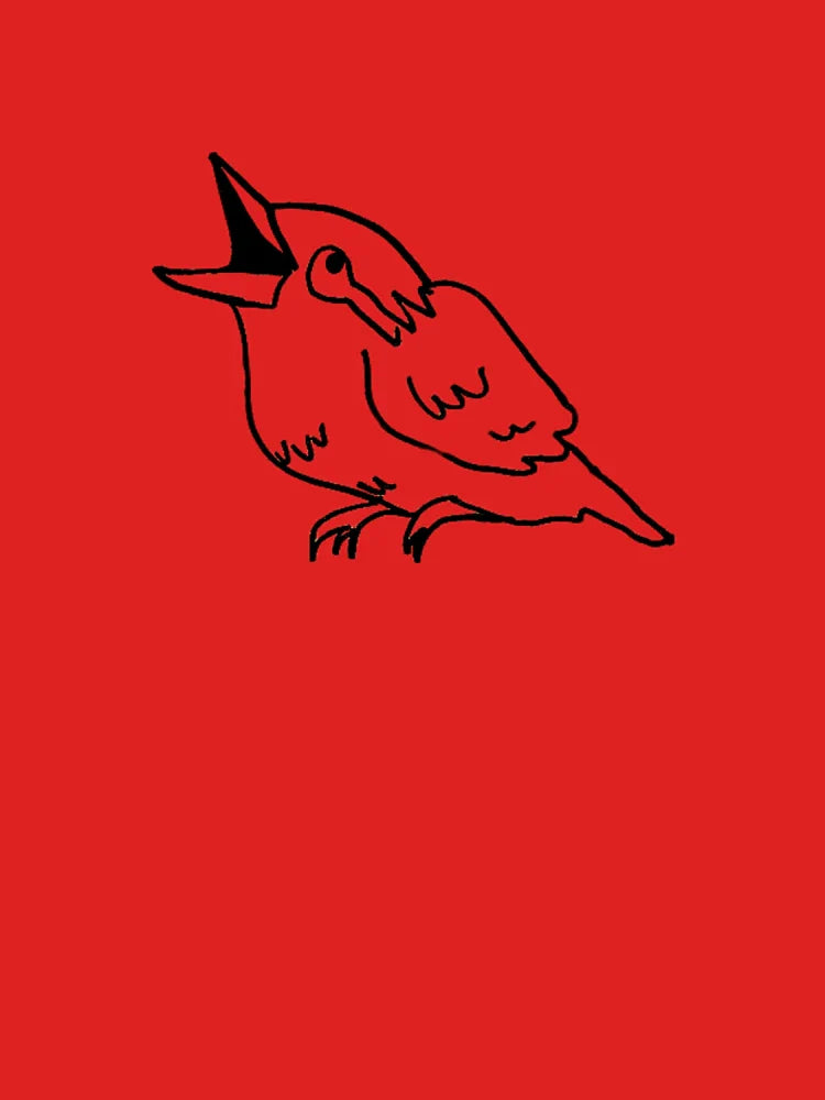 badly drawn kookaburra Classic T-Shirt