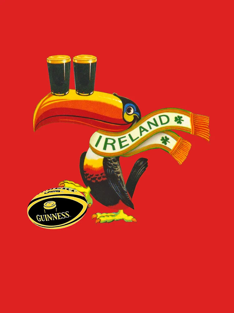 Ireland toucan Classic T-Shirt
