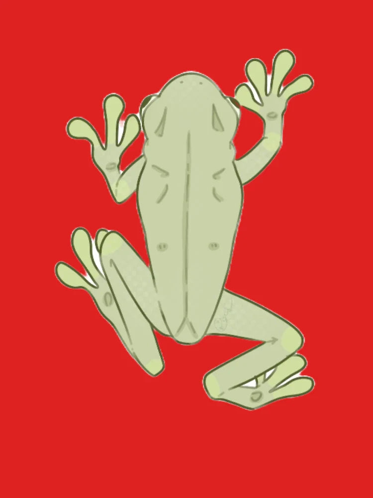 frog (2) Classic T-Shirt