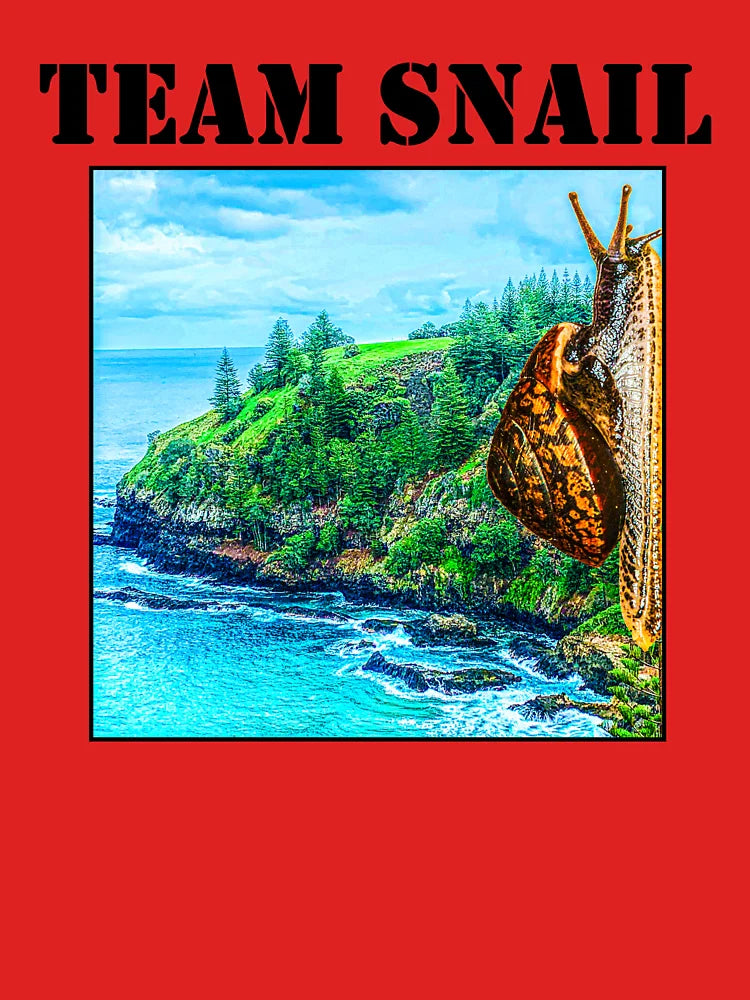 Team Snail NI 2021 Classic T-Shirt