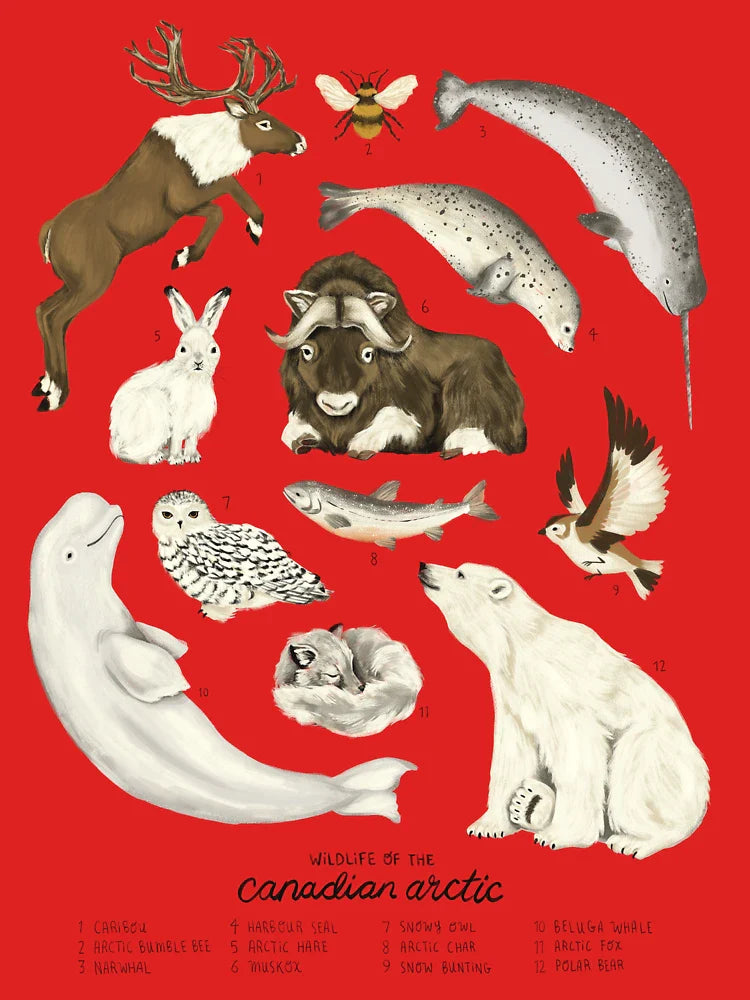 Wildlife of the Canadian Arctic Classic T-Shirt