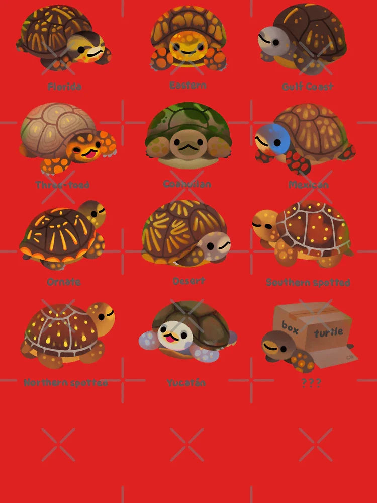 Box turtle Classic T-Shirt